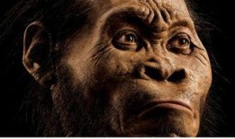 2025十大热点事件 宙斯视频,宙斯视频深度解析